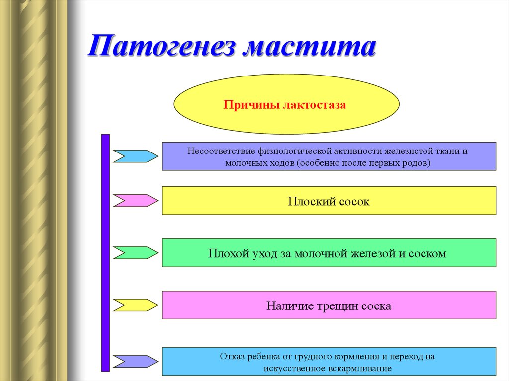 Этиология мастита. Патогенез лактационного мастита. Механизм развития мастита. Лактационный мастит этиология.