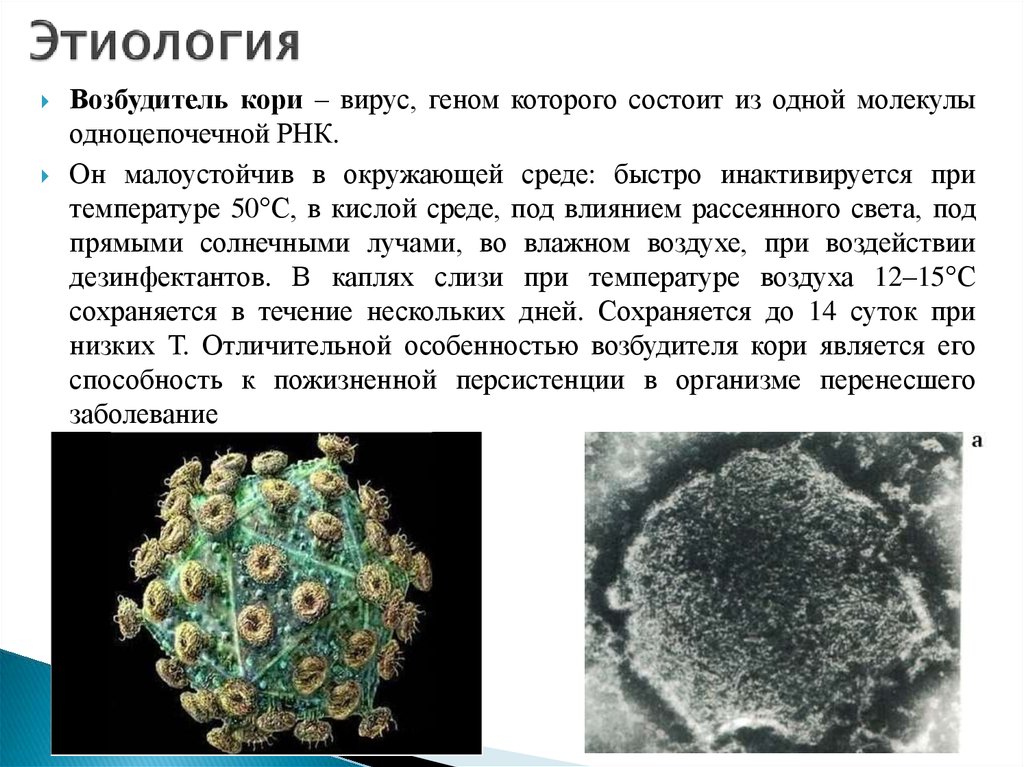 Вирус кори картинка для детей