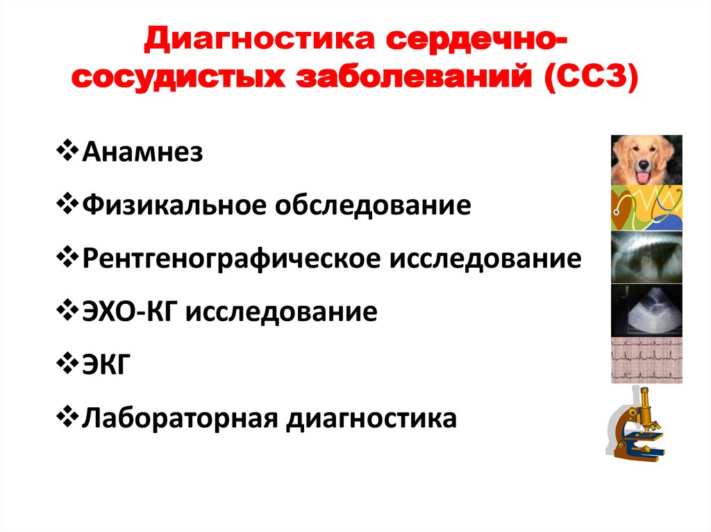 Методы диагностики заболеваний СС. Диагностика сердечно сосудистых заболеваний. Методы исследования сердечно-сосудистых заболеваний. Методы диагностики заболеваний сердца.