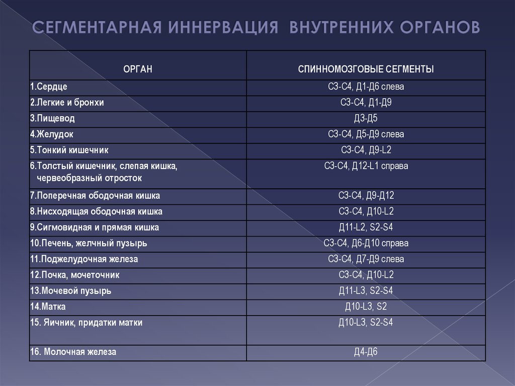 Иннервация органов. Сегментарная иннервация органов. Таблица сегментарной иннервации органов. Сегментарная иннервация мышц и внутренних органов. Вегетативная иннервация внутренних органов таблица.