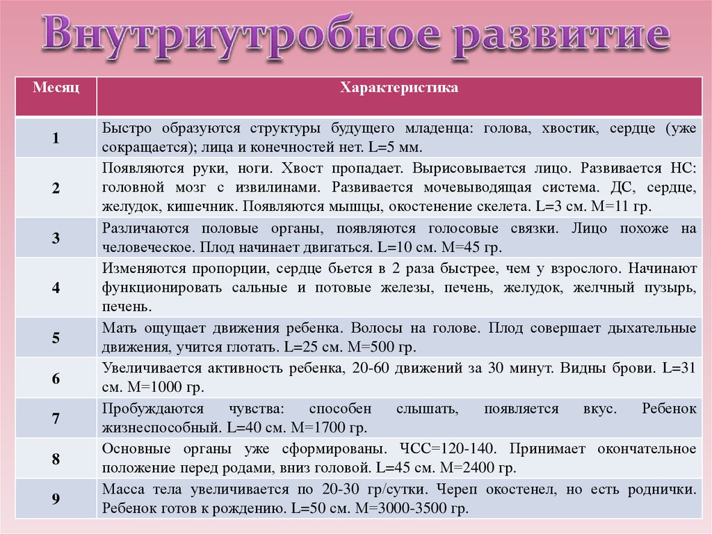 Внутриутробный период презентация