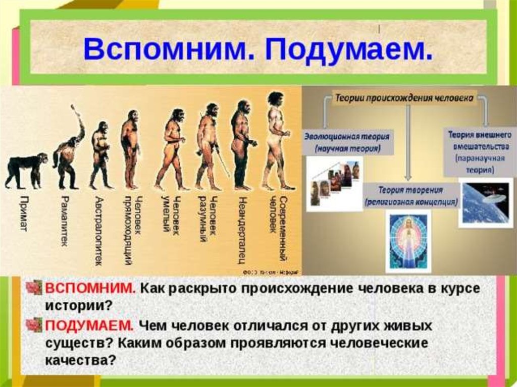 Источник знания о человеке и человеческом