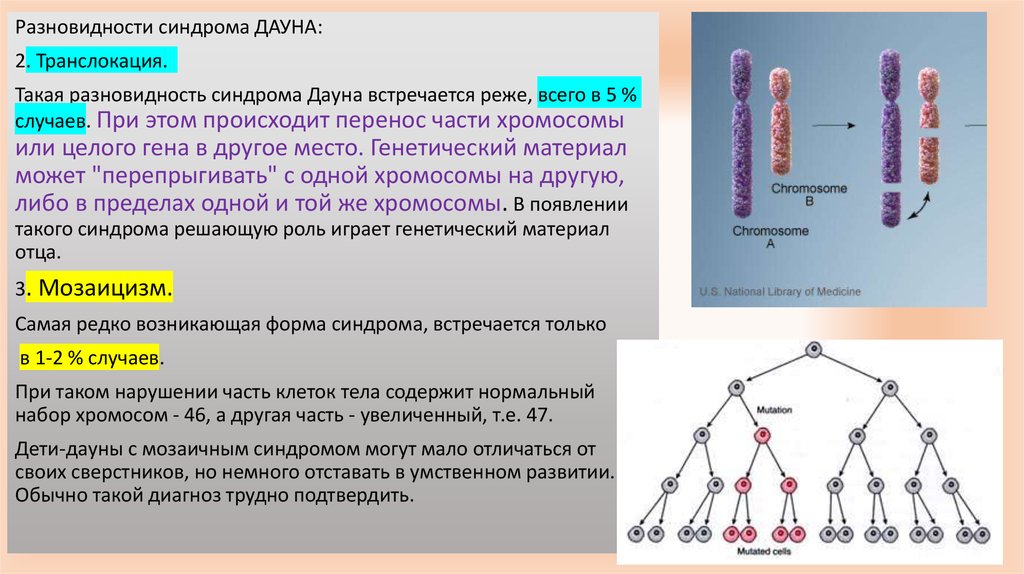 Гены ответственные за развитие