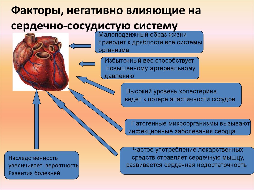 Беременность и сердечно сосудистые заболевания презентация