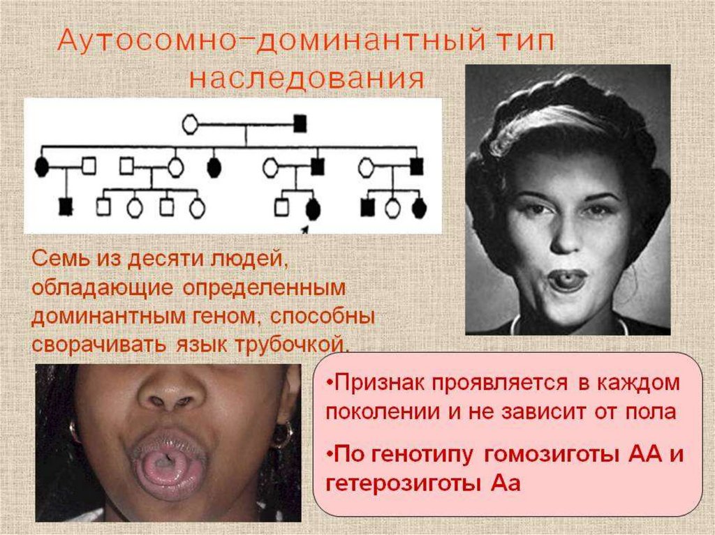 Аутосомно доминантный признак. Аутосомно-доминантный Тип наследования. Аутосомно-доминантным типом наследовани. Аутсмн дминантный Тип наследвания.