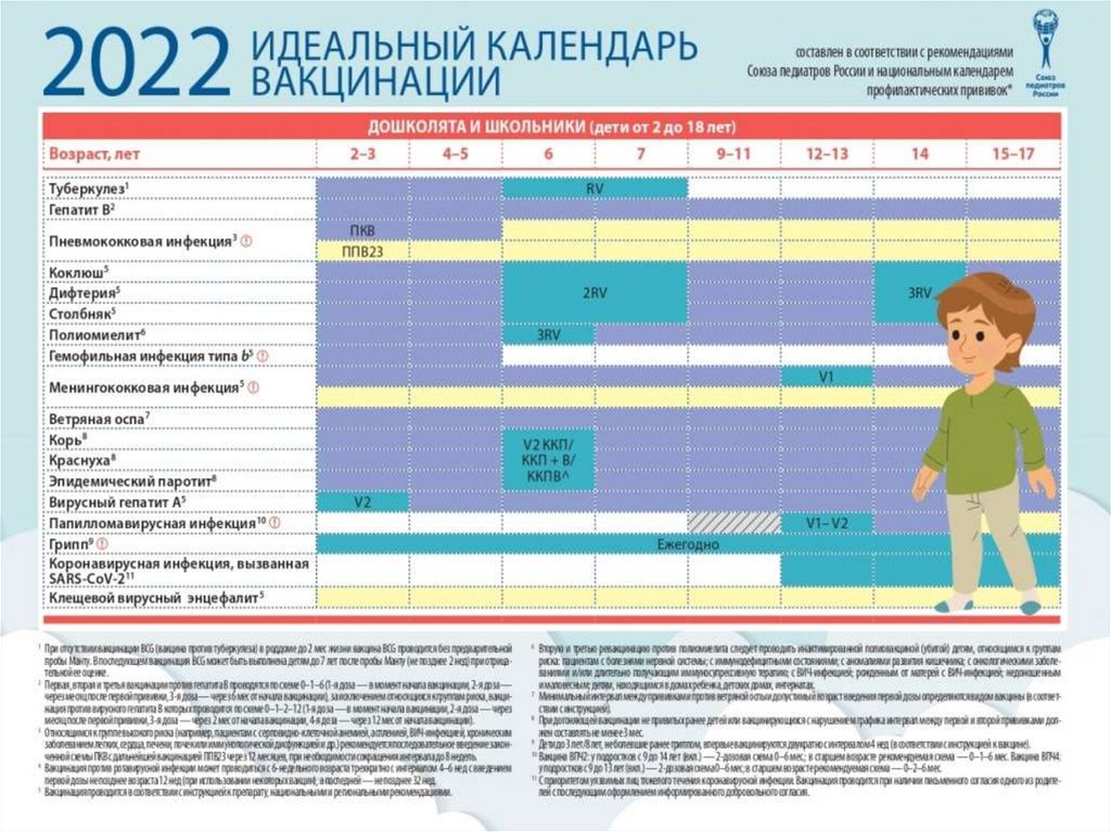 План детских прививок до 18 лет