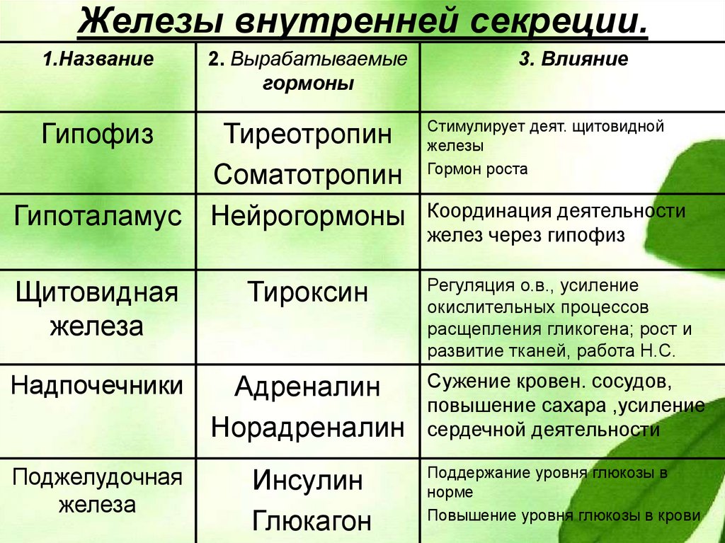 Какой гормон вырабатывает железа обозначенная на рисунке под буквой а