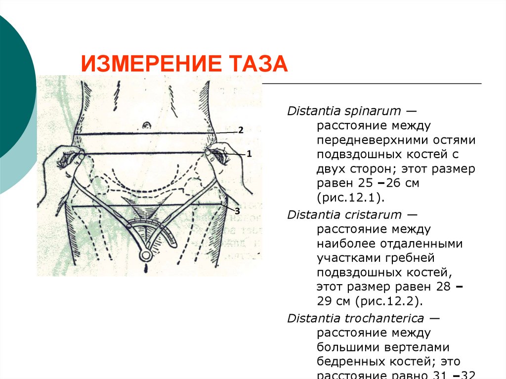 Размеры таза у женщин. Измерение размеров таза. Размеры таза как измерить. Измерение окружности таза. Измерение размеров женского таза.