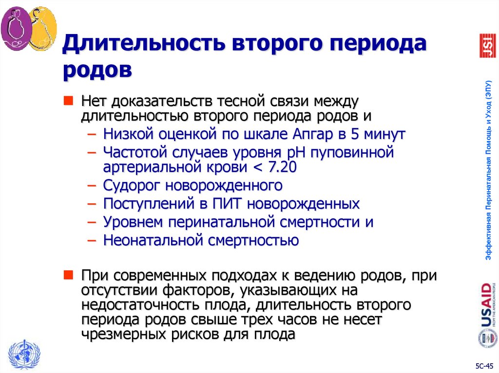 Второй период родов. Продолжительность 2 периода родов. 9. Продолжительность II периода родов.. Частота случаев внебольничных родов.