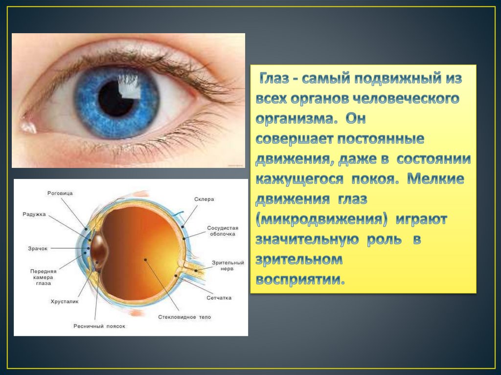 Какие расстройства зрения вам известны и каковы