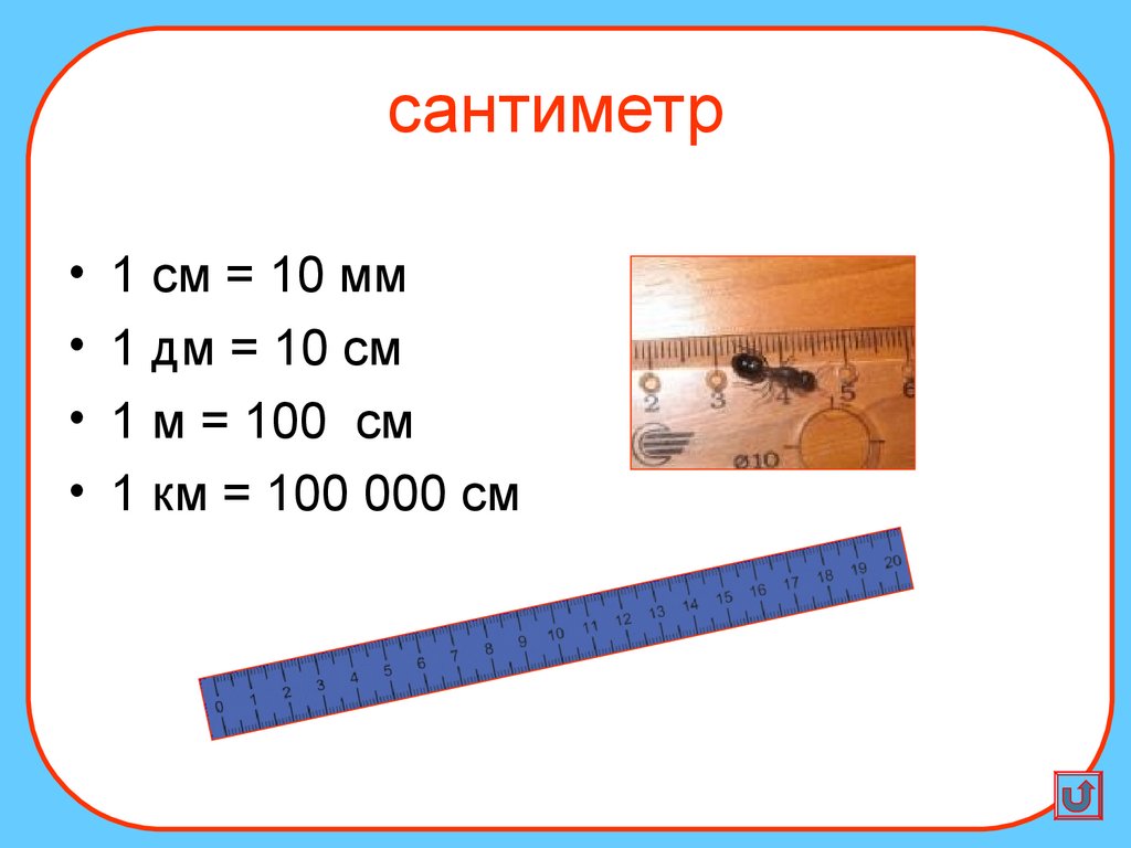 Размеры на чертежах проставляют в см в дм в мм