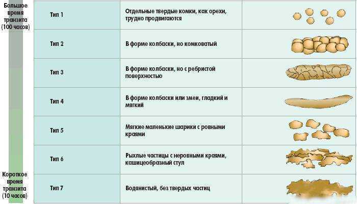 Какой должен быть кал у ребенка после введения прикорма фото