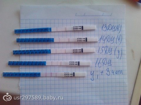 22 день цикла тест на беременность