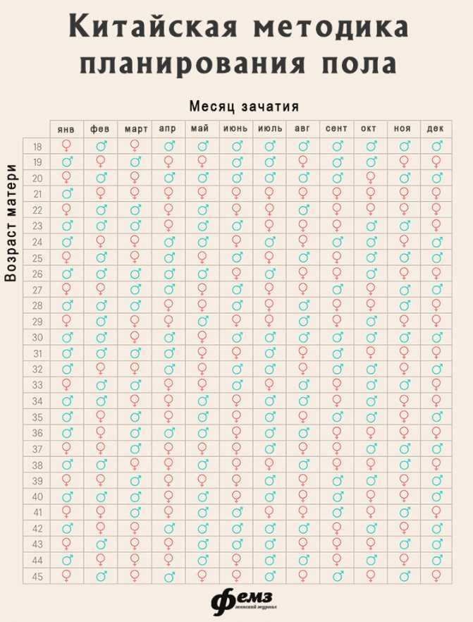 Календарь беременности картинки