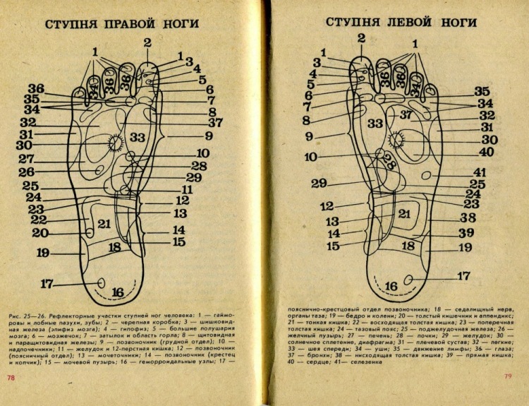 Точки массажа фото. Массаж стоп точки воздействия. Точки акупрессуры на ногах. Акупрессура расположение точек. Акупрессура стопы точки.
