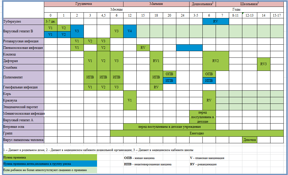 Какие прививки делают в 1 год по плану