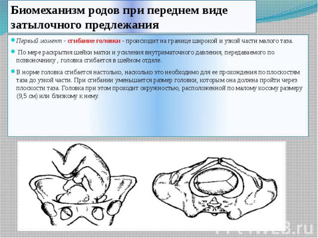 Акушерское пособие. Лобное предлежание плода биомеханизм родов. При заднем виде затылочного предлежания головка прорезывается. Роды в переднем виде затылочного предлежания. Биомеханизм родов при переднем предлежании.