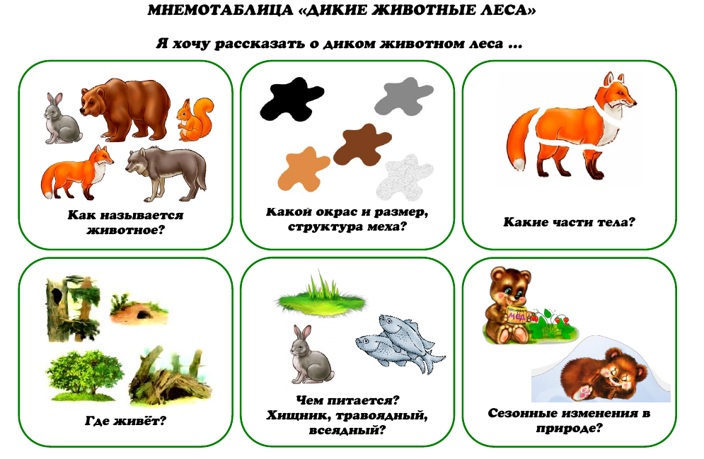 Презентация дикие животные весной старшая группа