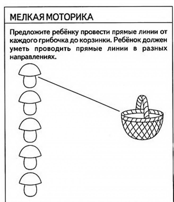 Развитие мелкой моторики у детей 4 5 лет картинки