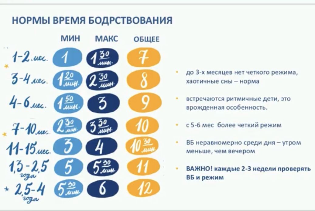 Схема сна и бодрствования новорожденного