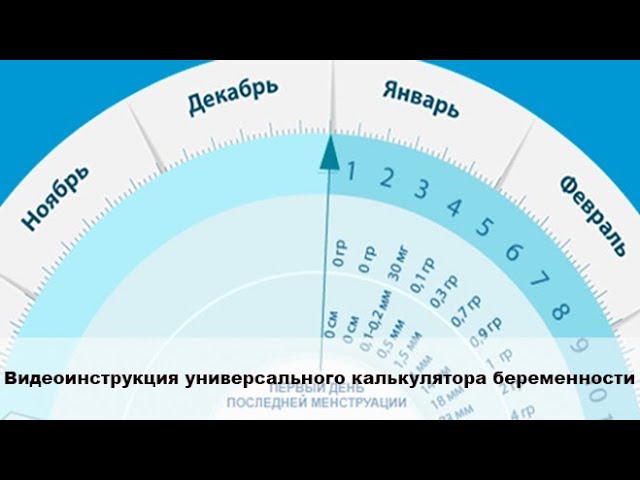 Калькулятор беременности после эко. Универсальный калькулятор беременности. Круг ПДР. Гестационный круг.