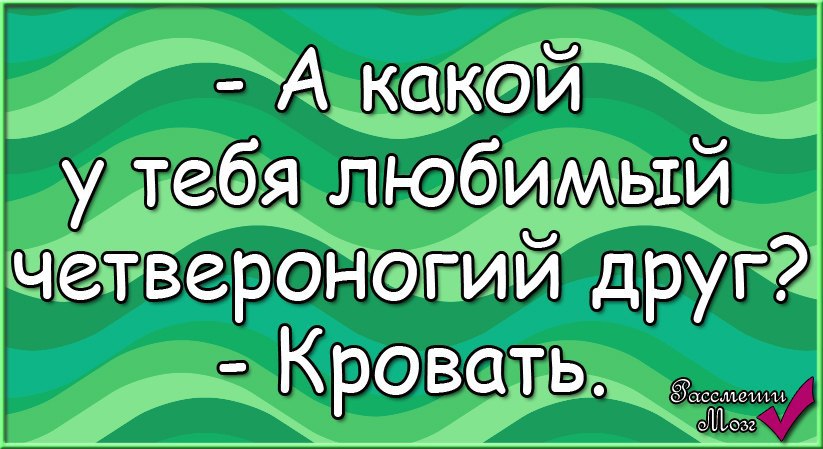 Детские Анекдоты Смешные До Слез