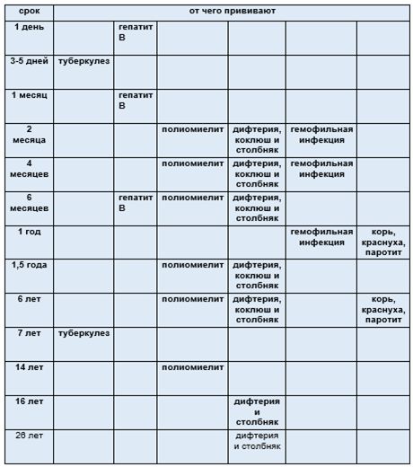 Прививки новорожденного по месяцам до года. Какие прививки делаются в 3 месяца.