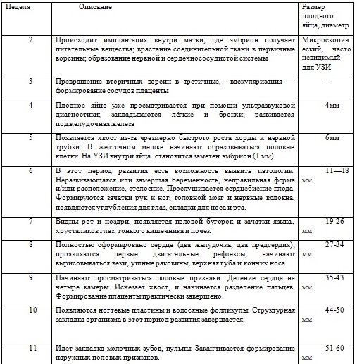 Развитие плода по неделям таблица. Периоды развития плода таблица. Периоды внутриутробного развития таблица. Таблица развития плода по неделям беременности. Этапы внутриутробного развития плода таблица.