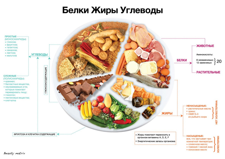 Что такое углеводы в продуктах питания