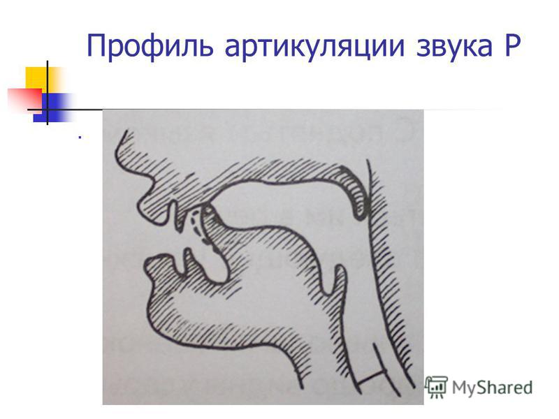 Положение языка при звуке р картинки