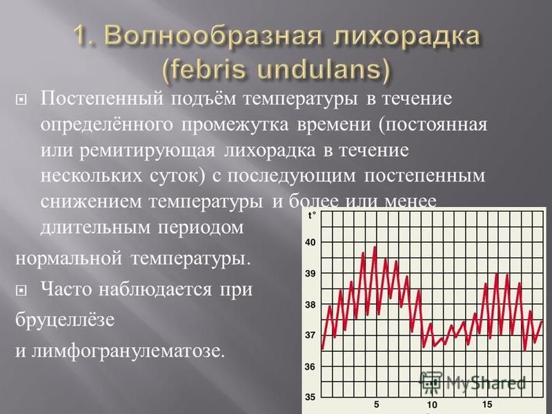 Температура тела лихорадка