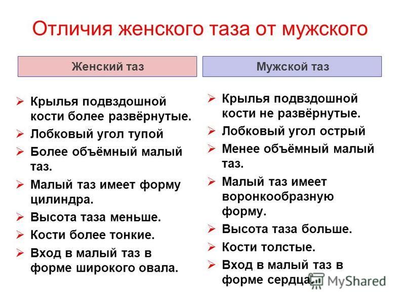 Отличия мужского и женского