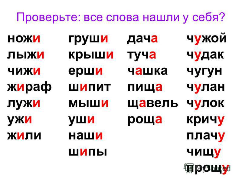 Правильно 5 букв. Диктант для 1 класса на жи ши ча ща Чу ЩУ ЧК ЧН. Диктант для 1 класса по русскому языку на жи ши и ча ща Чу ЩУ. Слова на правило жи ши ча ща Чу ЩУ. Слона на ча ща жи ши Чу ЩУ.