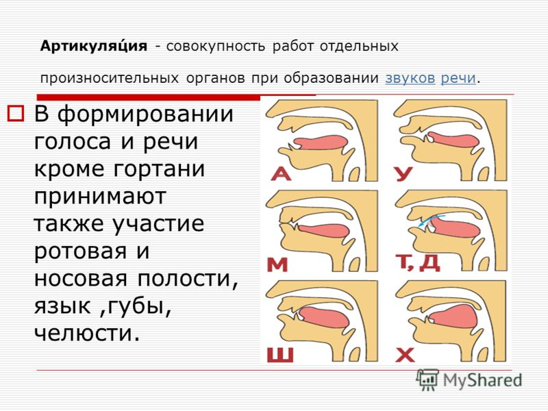 Артикуляция это