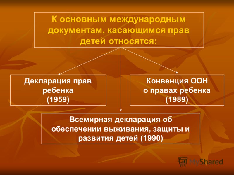 Международная защита детей проект