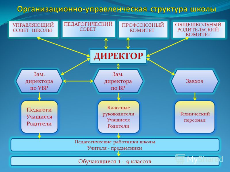 Как организовать эффективный родительский комитет в 1 классе: Секреты опытных родителей