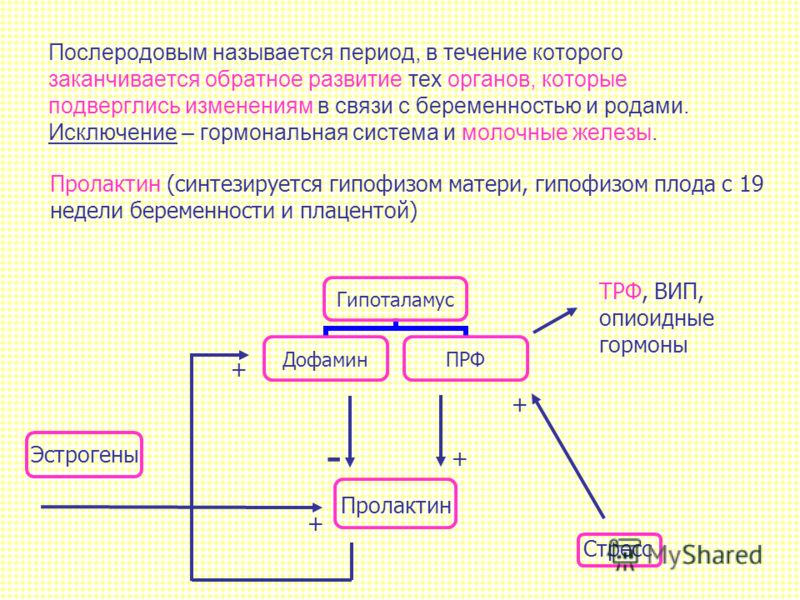 Послеродовый период клинические рекомендации. Введение послеродового периода. Физиологическое течение послеродового периода. Физиологическая сущность послеродового периода. Ведение физиологического послеродового периода.