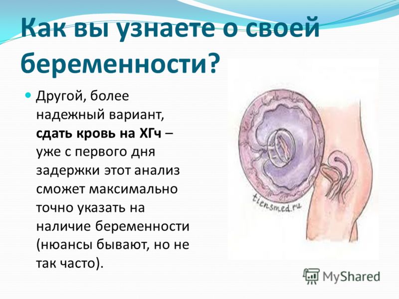 Беременность на 6 дне. Как понять что беременна. Как определить беременность. Как определить что беременна. Как понять беременность.