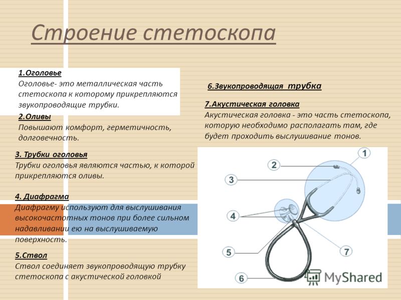 Исследователь разбор. Раструб фонендоскопа строение. Строение фонендоскопа. Строение стетофонендоскопа. Стетофонендоскоп строение.