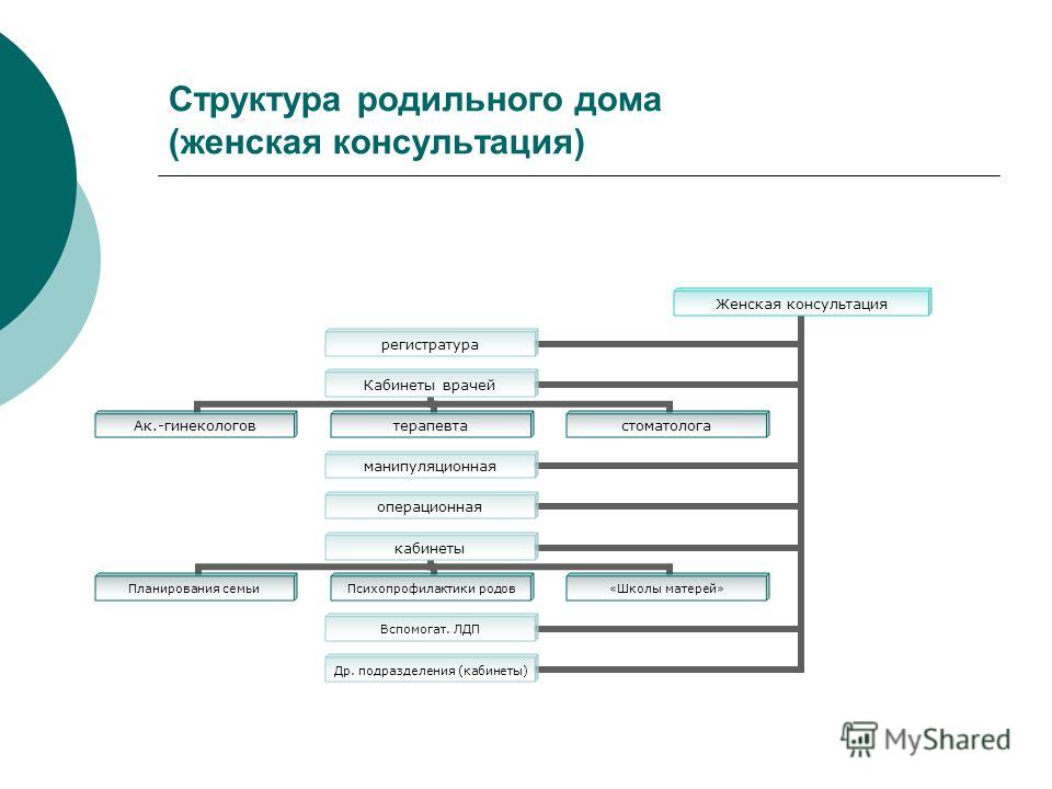 Схема приемного отделения роддома