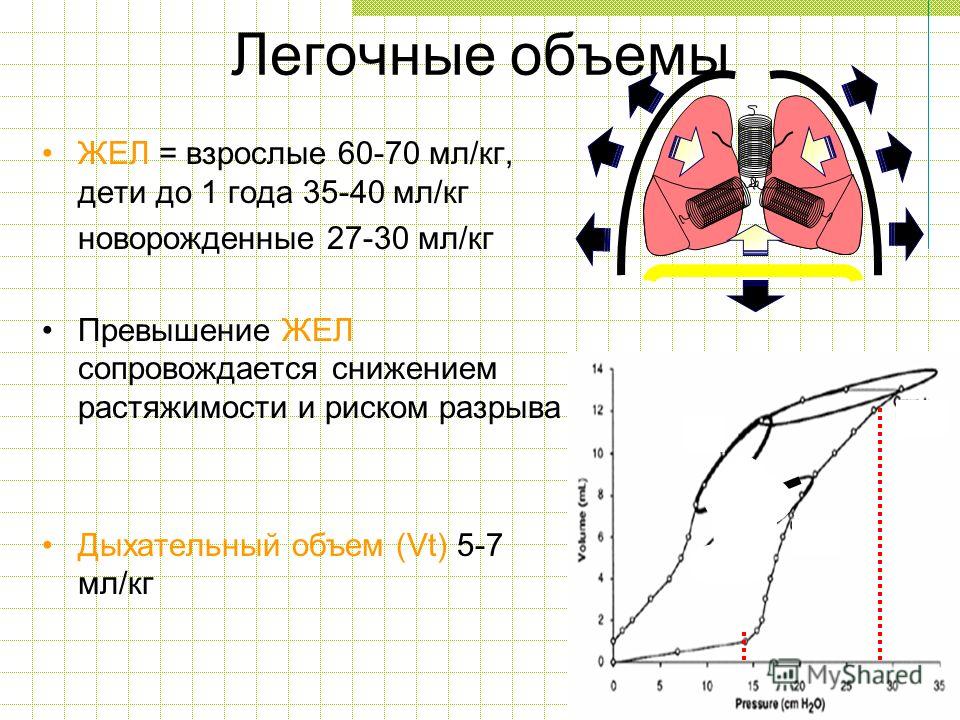 Объем легких 5 литров. Легочные объемы у детей. Легочные дыхательные объемы – это:. Дыхательный объем легких у детей. Схема легочных объемов.