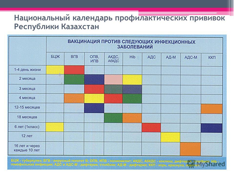 План прививок в казахстане