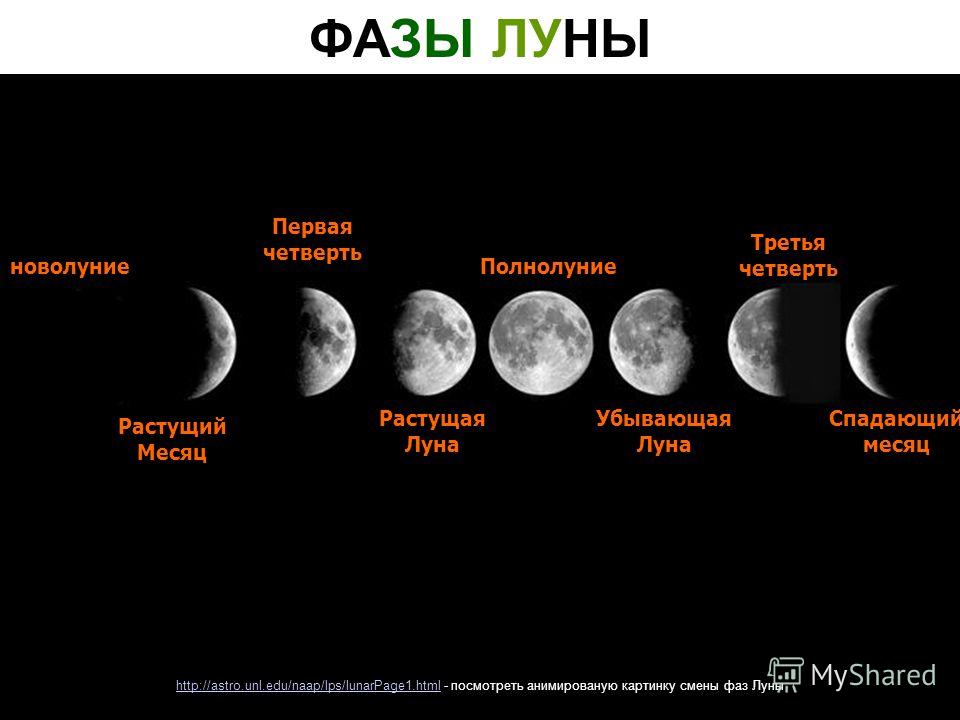 В какой фазе находиться сейчас