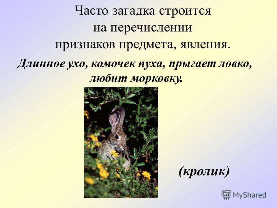 Загадка описание. Загадки описания признаков предмета. Загадки перечисление признаков.