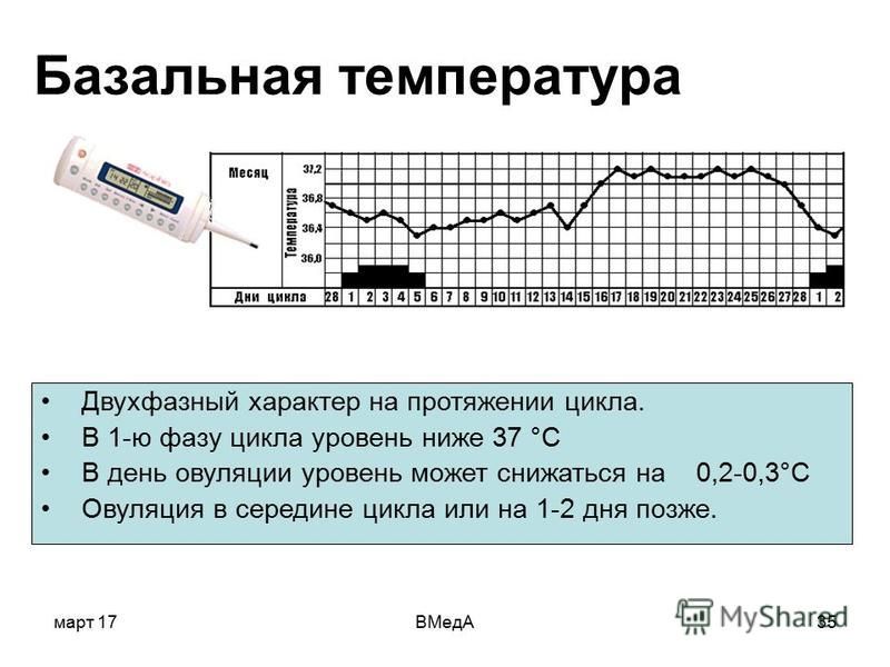 Какая температура ректально. Базальная температура при цикле 28 дней. Нормы базальной температуры по дням цикла. БТ В середине цикла. Ректальная температура.