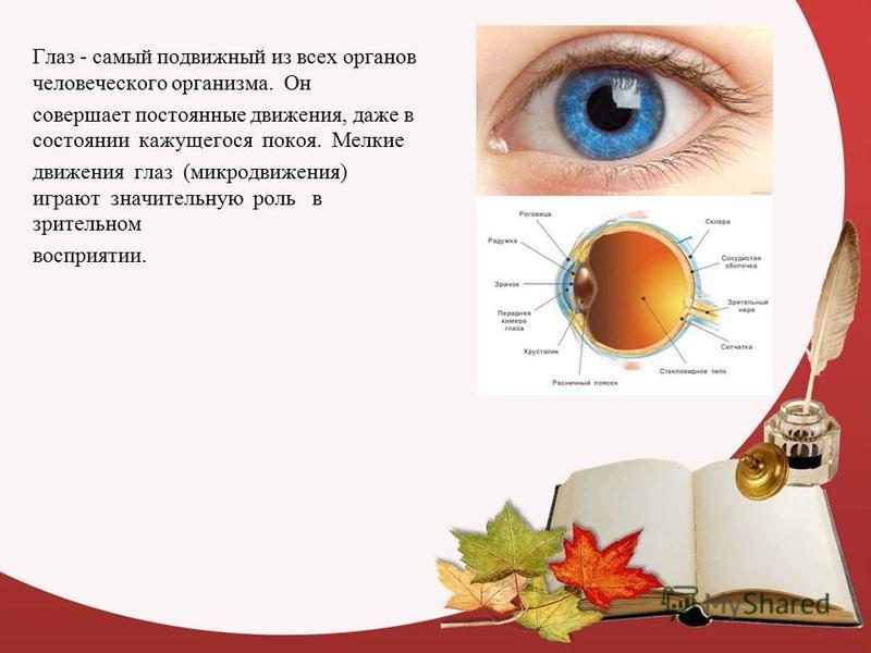 Профилактика органов зрения