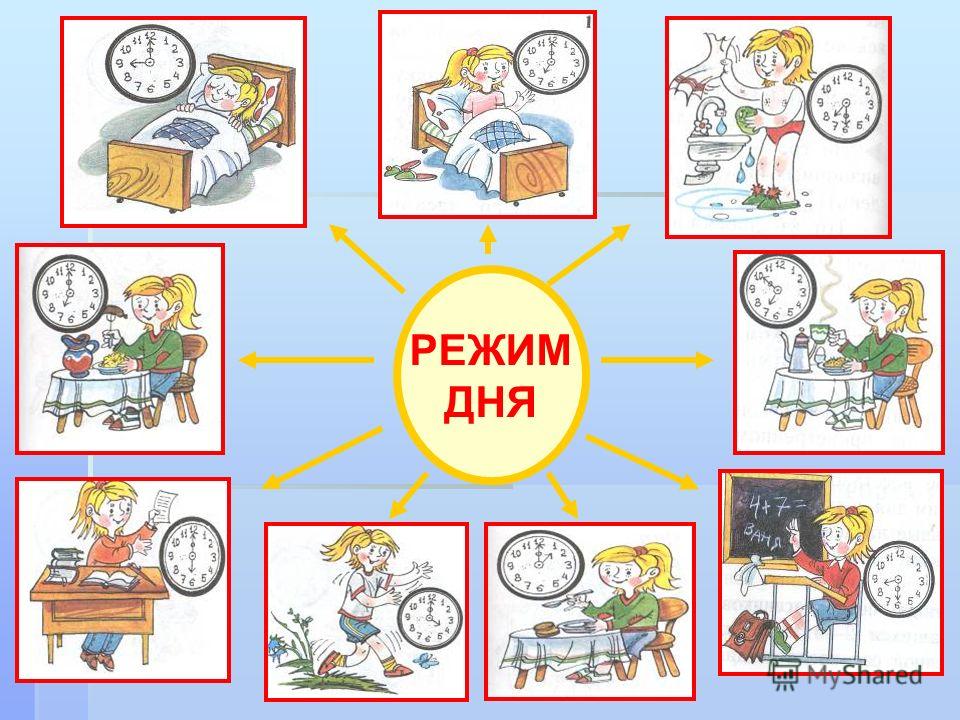 Картинки про распорядок дня