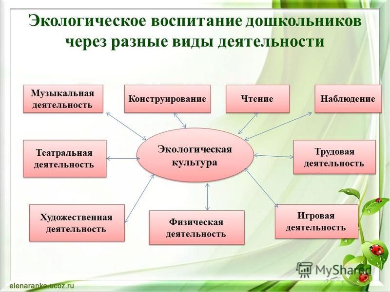 Вид дошкольного возраста. Экологическое воспитание дошкольников. Деятельность экологического воспитания дошкольников. Природоохранная деятельность для дошкольников. Диагностики экологической воспитанности дошкольников.