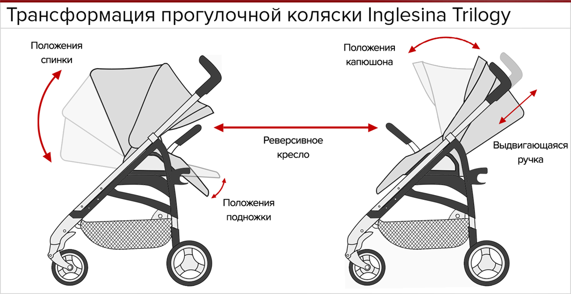 Какую Прогулочную Коляску Лучше Купить Для Ребенка