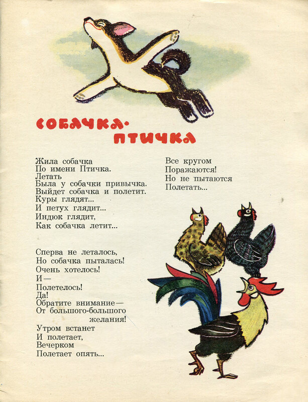 Стихотворение жила была собака. Жила собачка по имени птичка летать. Жила собачка по имени. Жила-была собака. Стихи.